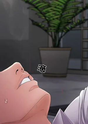 第509頁圖