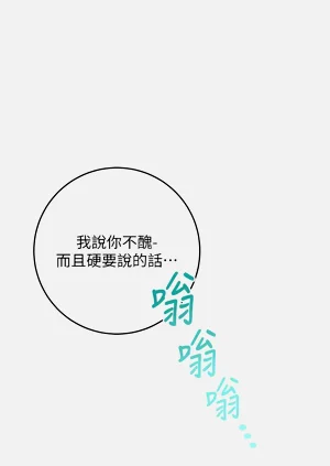 第142頁圖
