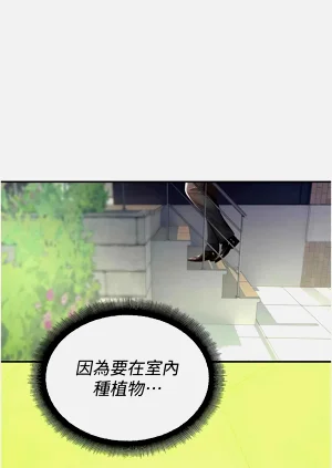 第155頁圖