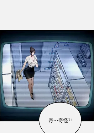 第237頁圖