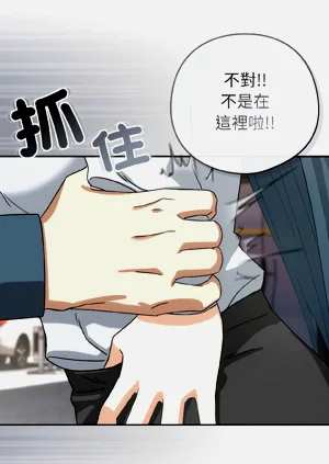 第213頁圖