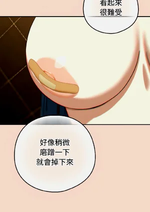 第223頁圖