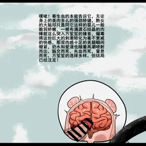 第103页图