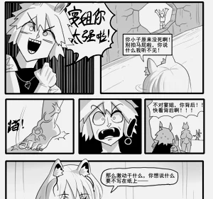 第482页图