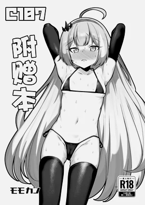第1页图