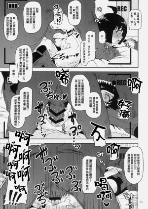 第13页图