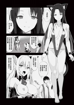 第93頁圖