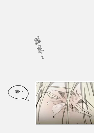 第43页图