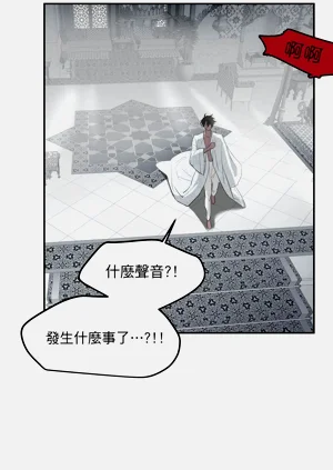 第43頁圖
