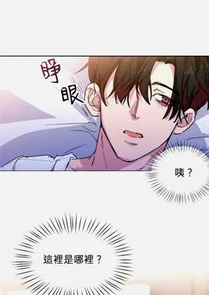 第28頁圖