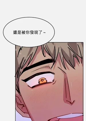 第42頁圖