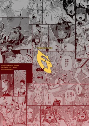 第50頁圖