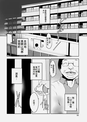 第56頁圖