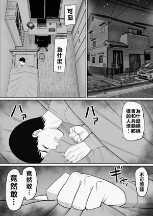 第233页图