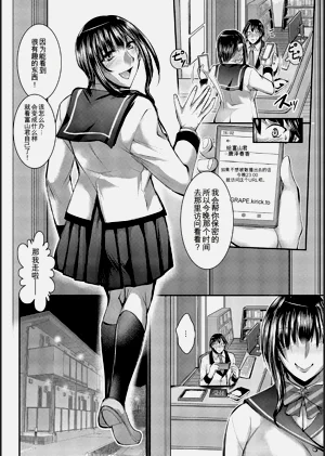 第204頁圖