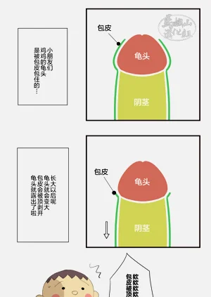 第10页图