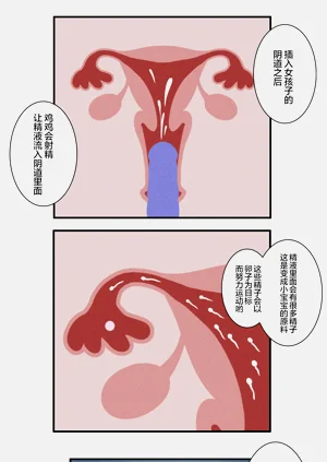 第31页图
