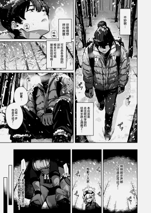 第3页图