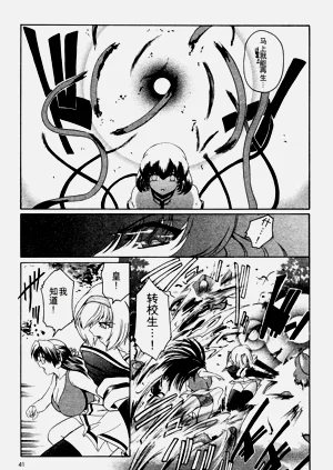 第116頁圖