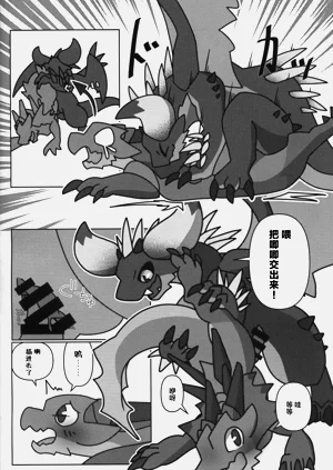 第17页图