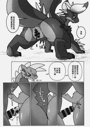 第21页图