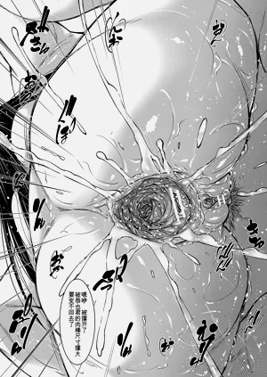 第127頁圖