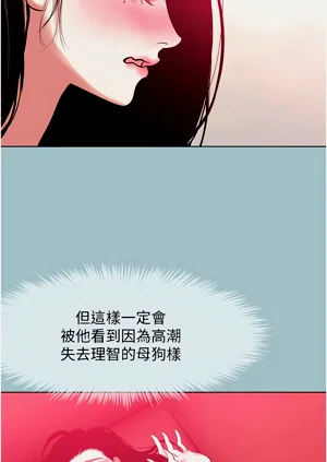 第237页图