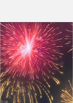 第205頁圖