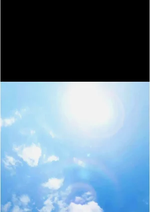 第141頁圖