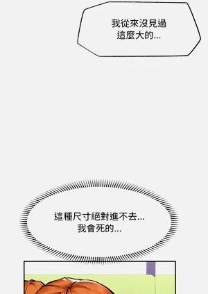 第217頁圖