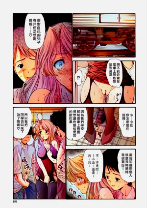 第196頁圖