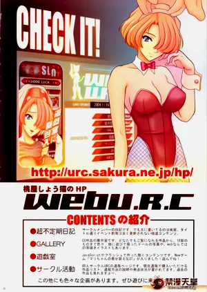 第35頁圖