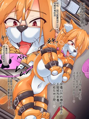 第9页图
