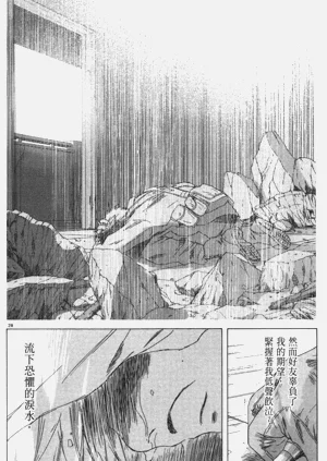第29頁圖