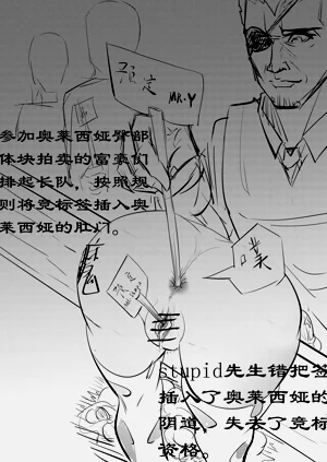 第17页图