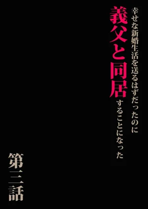 第3页图