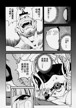 第115页图