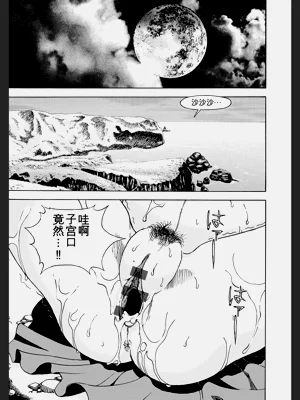第95頁圖
