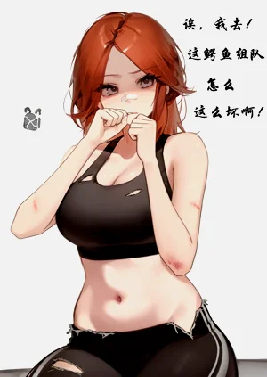 第13页图