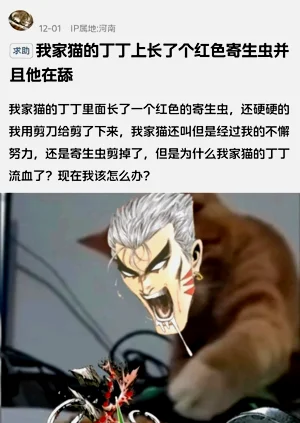 第43页图