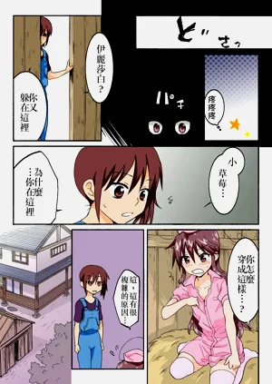 第295頁圖