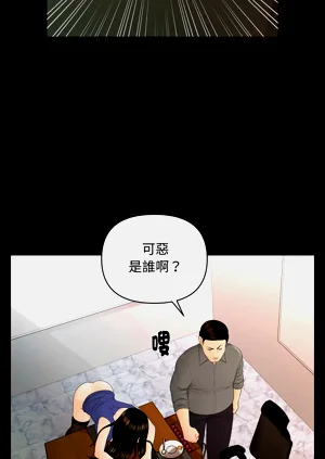 第215頁圖