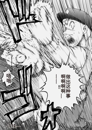 第228页图