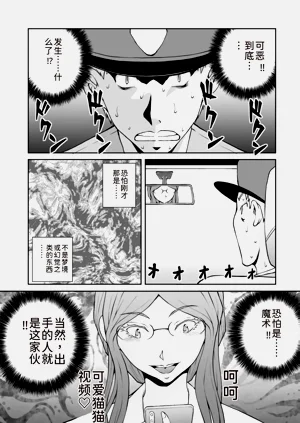 第264页图