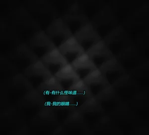第33页图