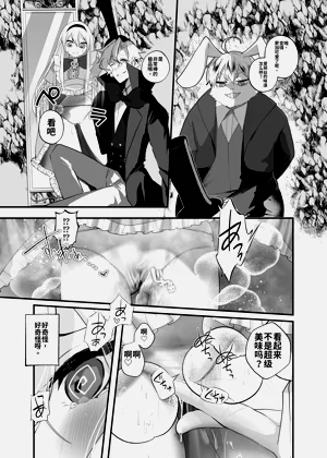 第11頁圖