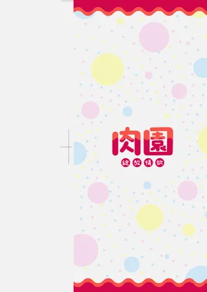 第4页图
