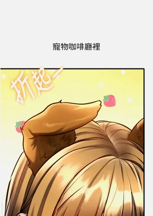 第515頁圖