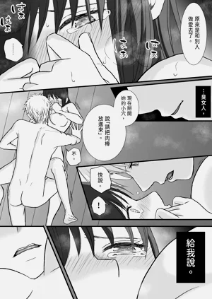 第102頁圖