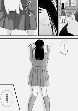 第216頁圖
